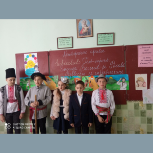 Oră publică la limba și literatura română în clasele a V-a și a IX-a